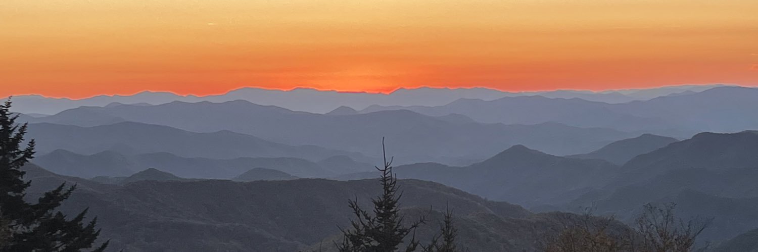 Danielle Vaeth banner