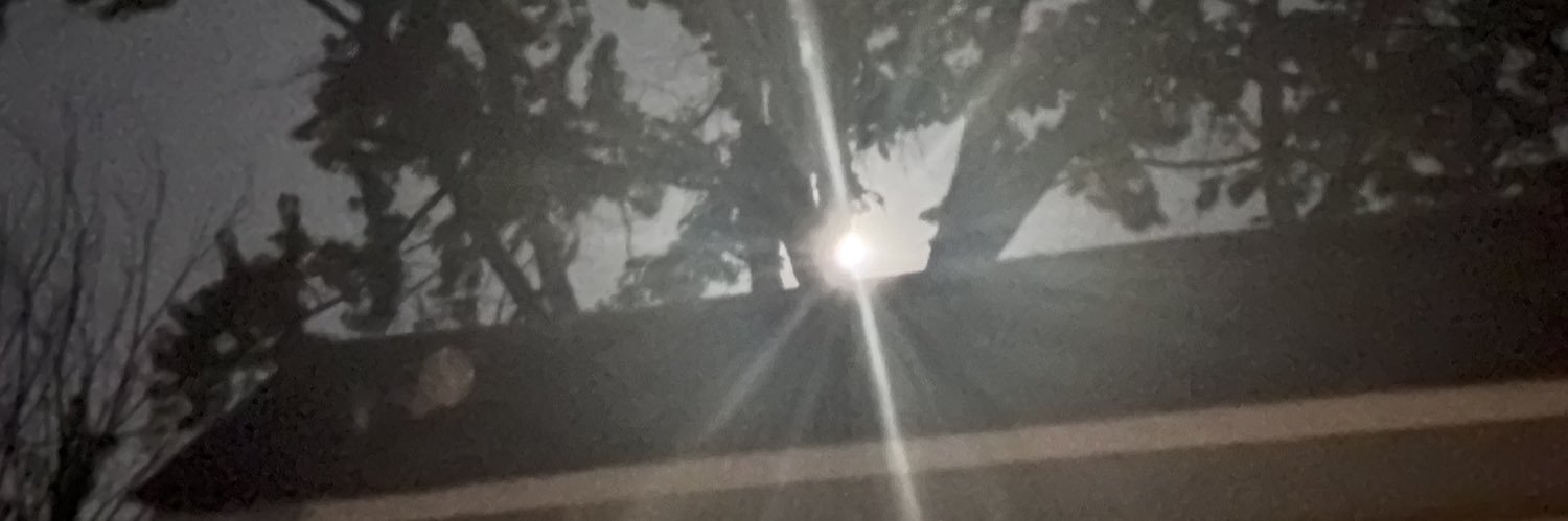 Zenpo banner