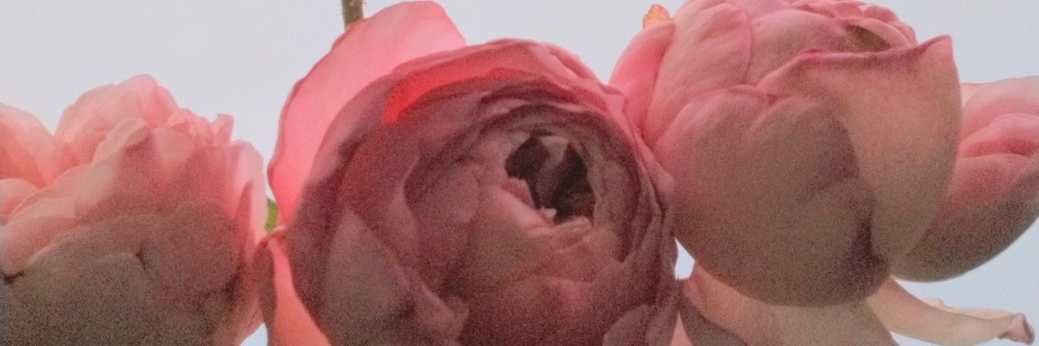 mitsu_ame's profile banner image