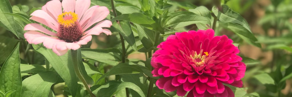 TheMrsLane's profile banner image