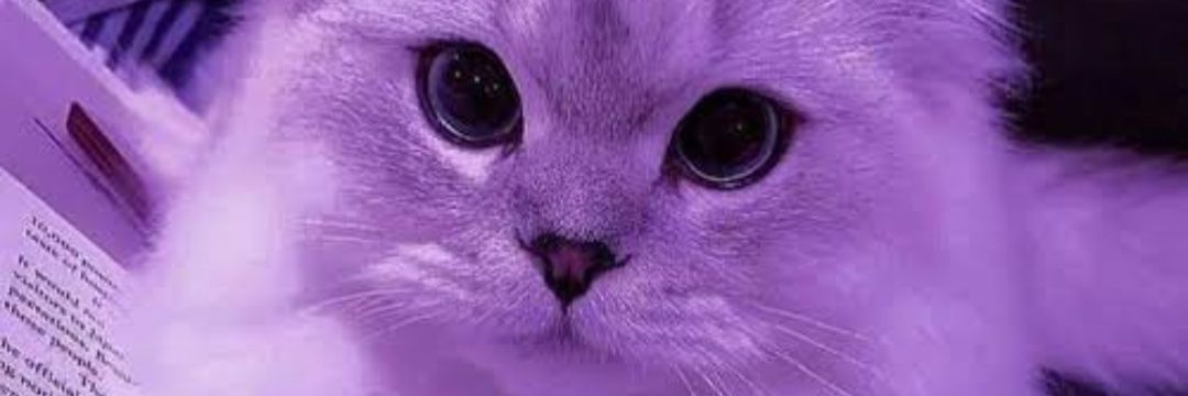 nala banner