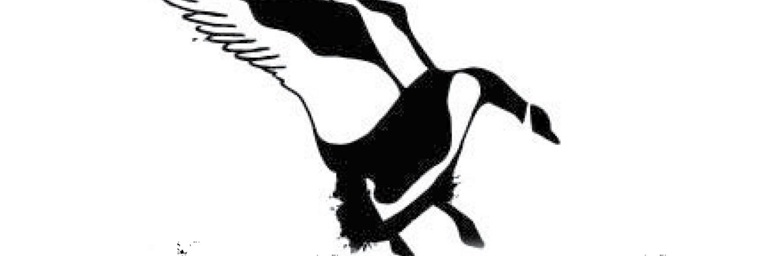 MR_Outfitters's profile banner image