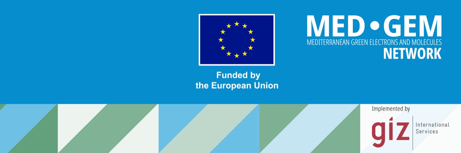 MED-GEM Network banner