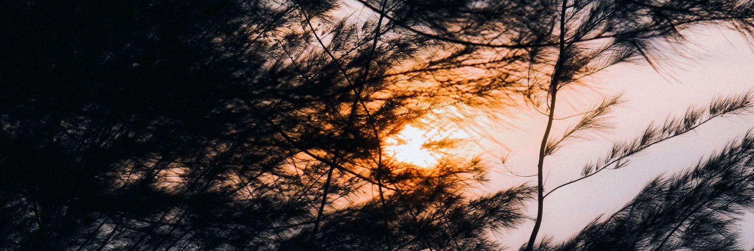 rianakapri's profile banner image