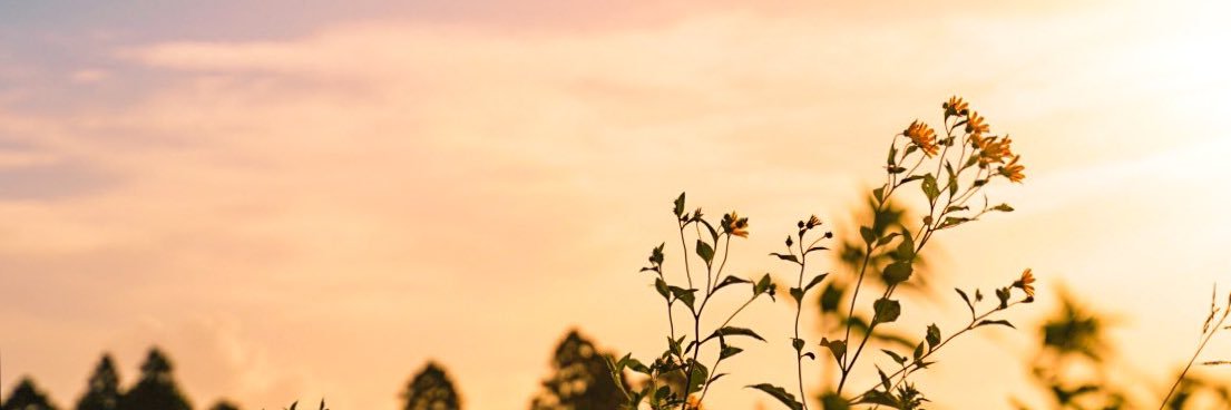 immintto's profile banner image