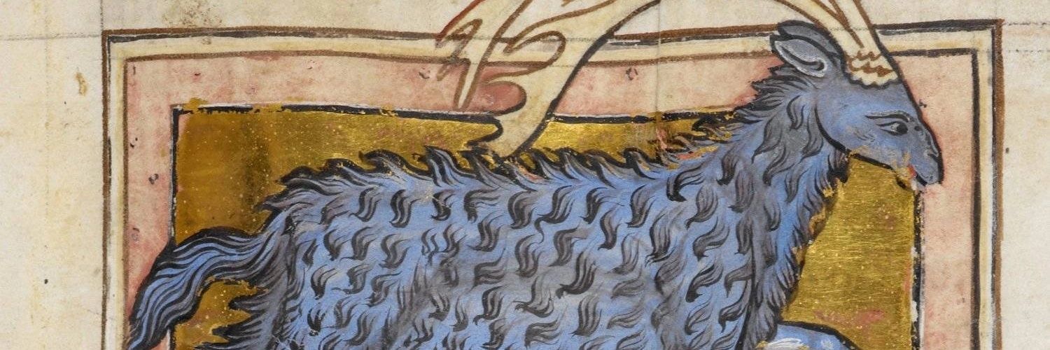 🪲kirieshka🪲 banner