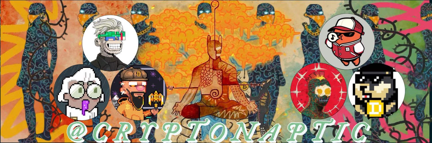 Naptic's banner