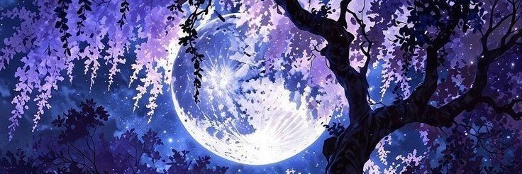 Butterfly121348's profile banner image