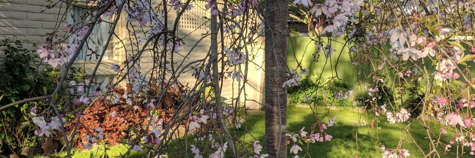 shazzadam's profile banner image