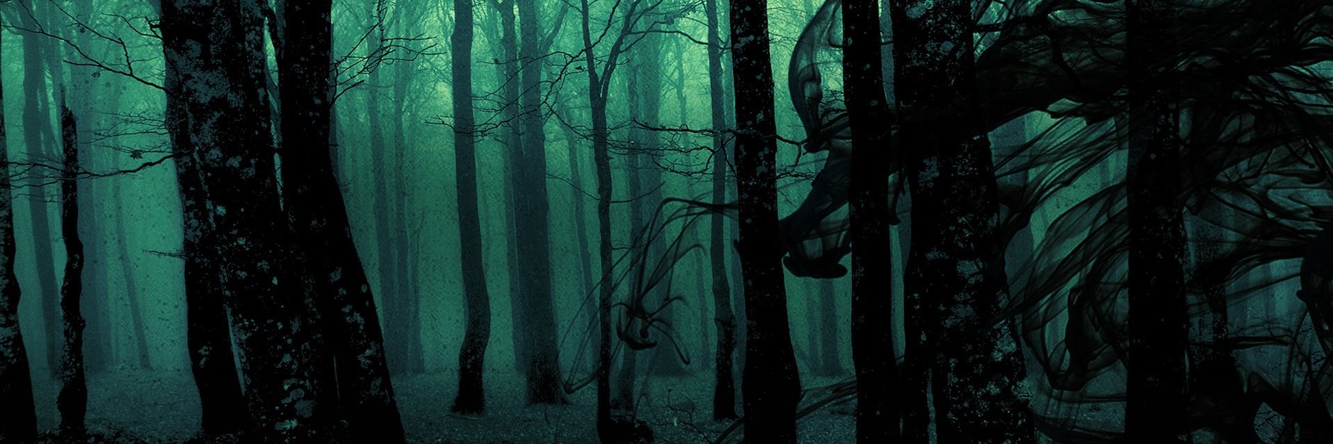 elbernal's profile banner image