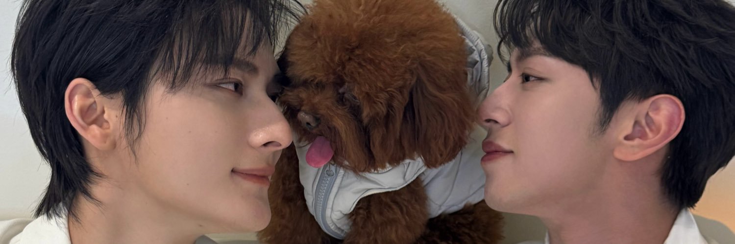 ʟɪᴛᴛʟᴇ ᴡᴀᴠᴇꜱ°o.O banner