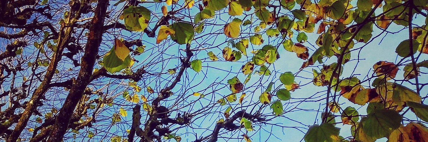 Citizen_H's profile banner image