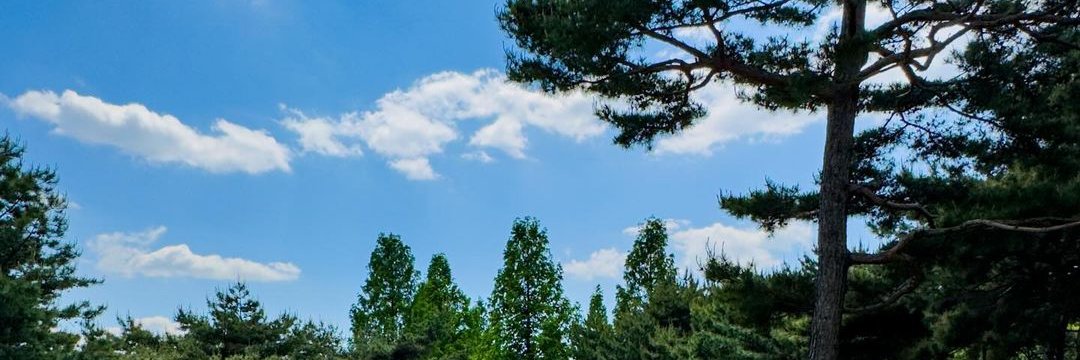 kyeomiearchiv's profile banner image