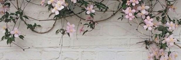 fairyrossa's profile banner image