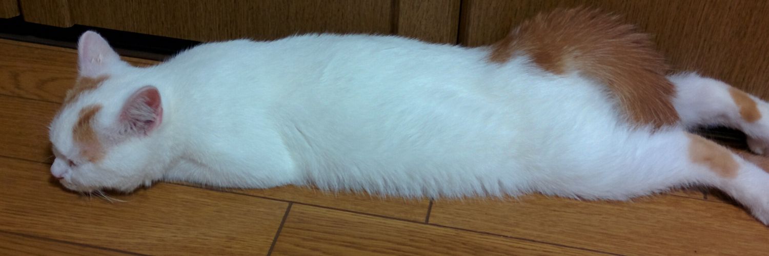 tomocchida's profile banner image