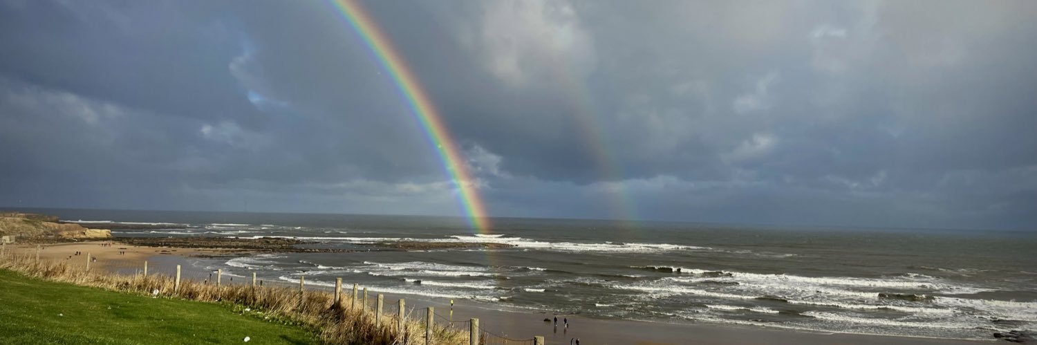 Allison Cowling banner