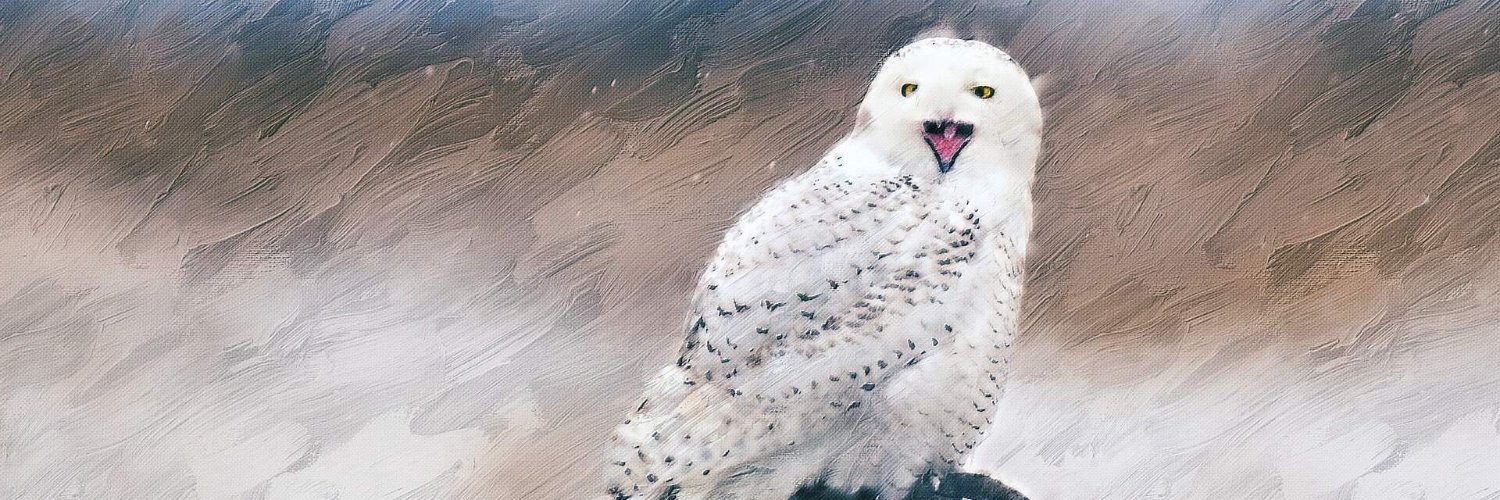 iSaapa SAAS Platform for Vacations Businesses banner