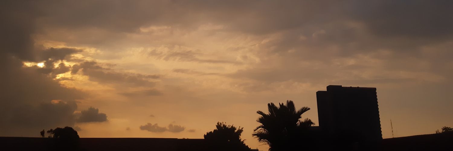 apisapes's profile banner image