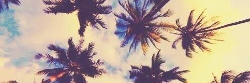 tess_jansen's profile banner image