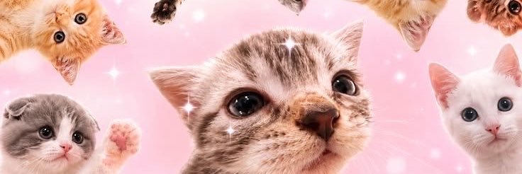 mafefefefe's profile banner image