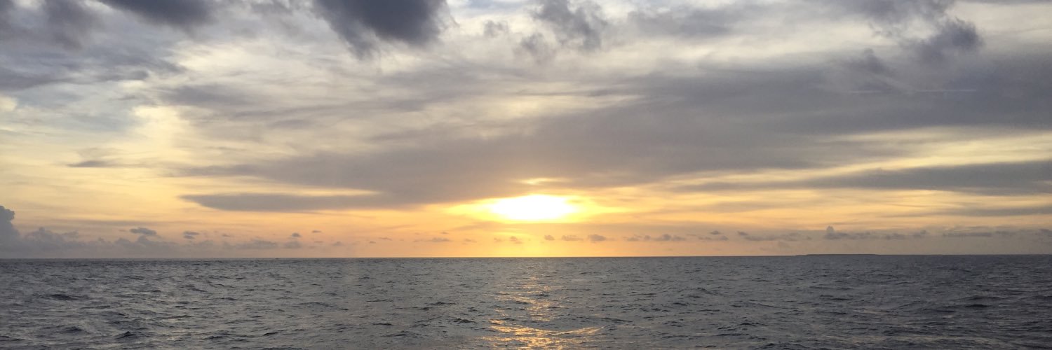FCamposRD's profile banner image