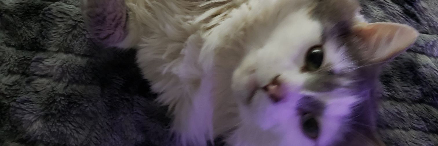 hellokittysks 🇮🇷 banner