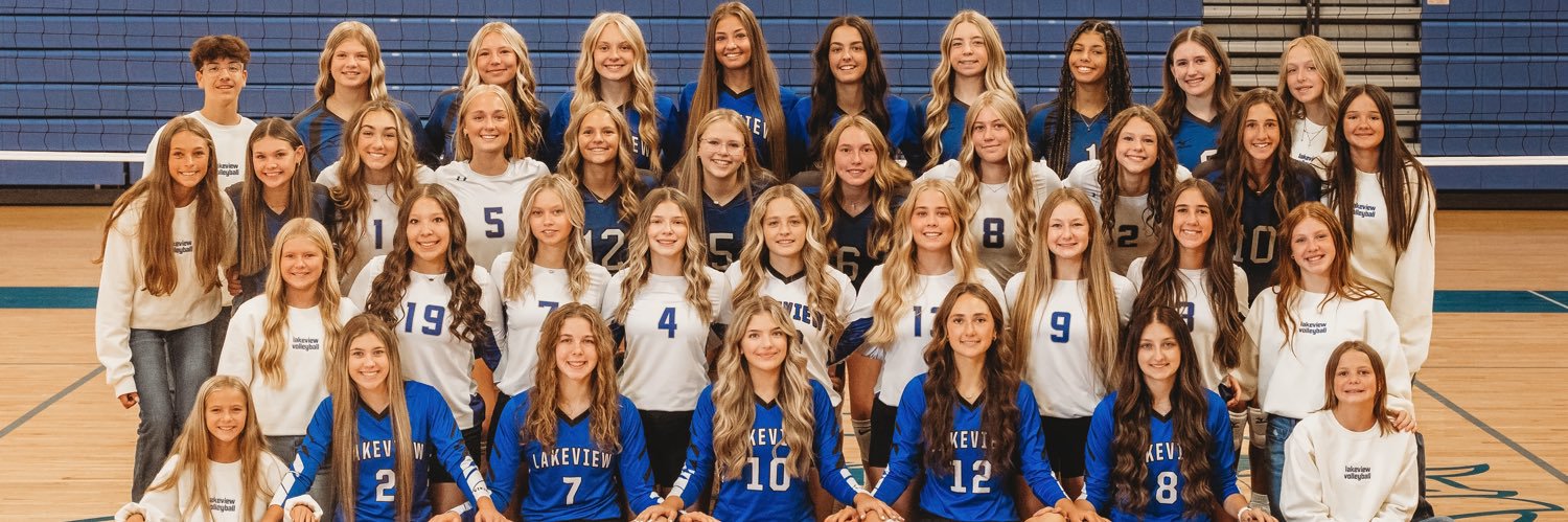 Lakeview Volleyball banner