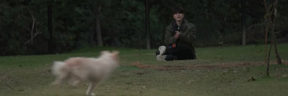 のーのー(^o^) banner