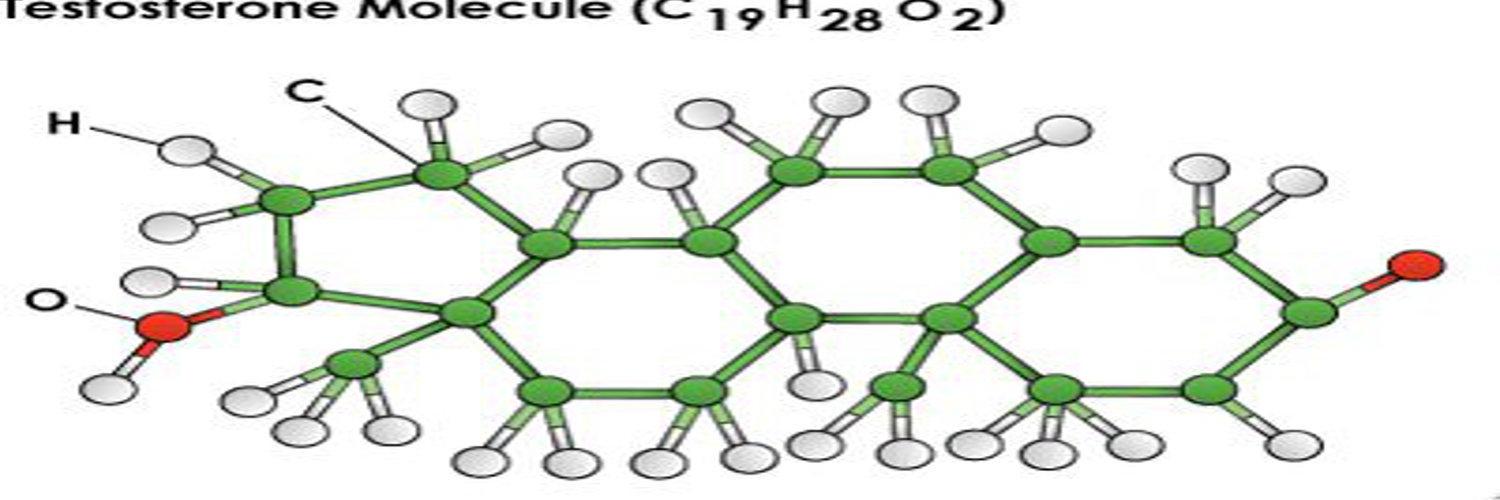 Testosterone Zone banner
