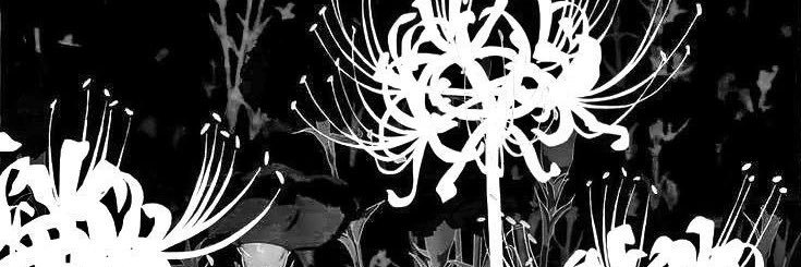 sal banner