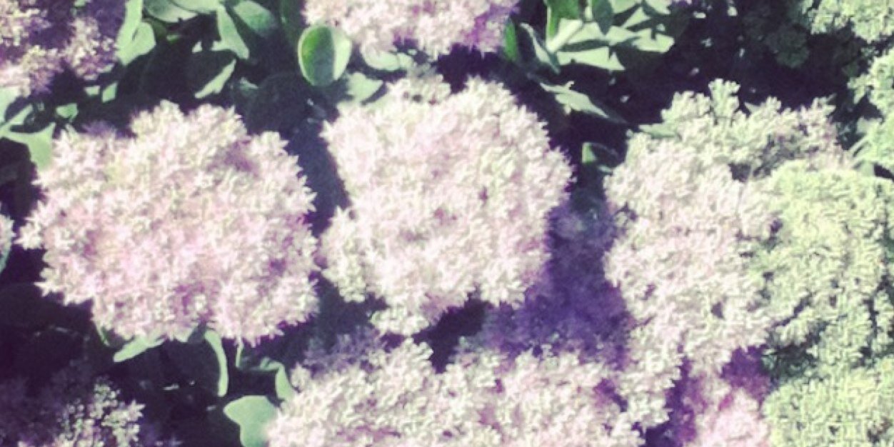 maysonh1's profile banner image