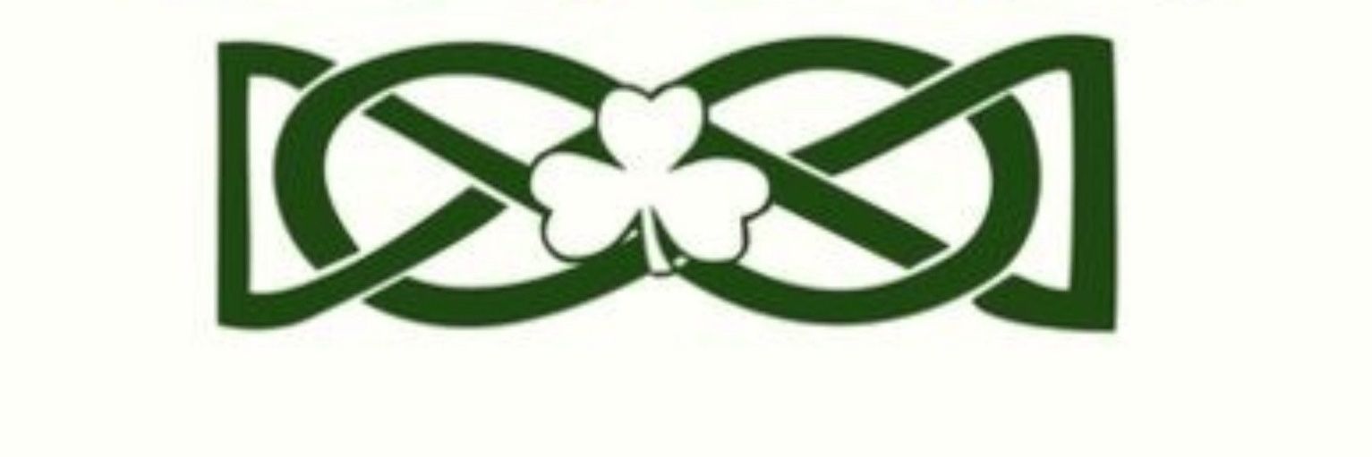 Doll Éireann ᚋᚐᚔᚏᚓᚐᚇ banner