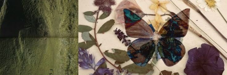 rin ⭐ dracomaxxing banner