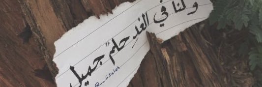 alphdri21's profile banner image