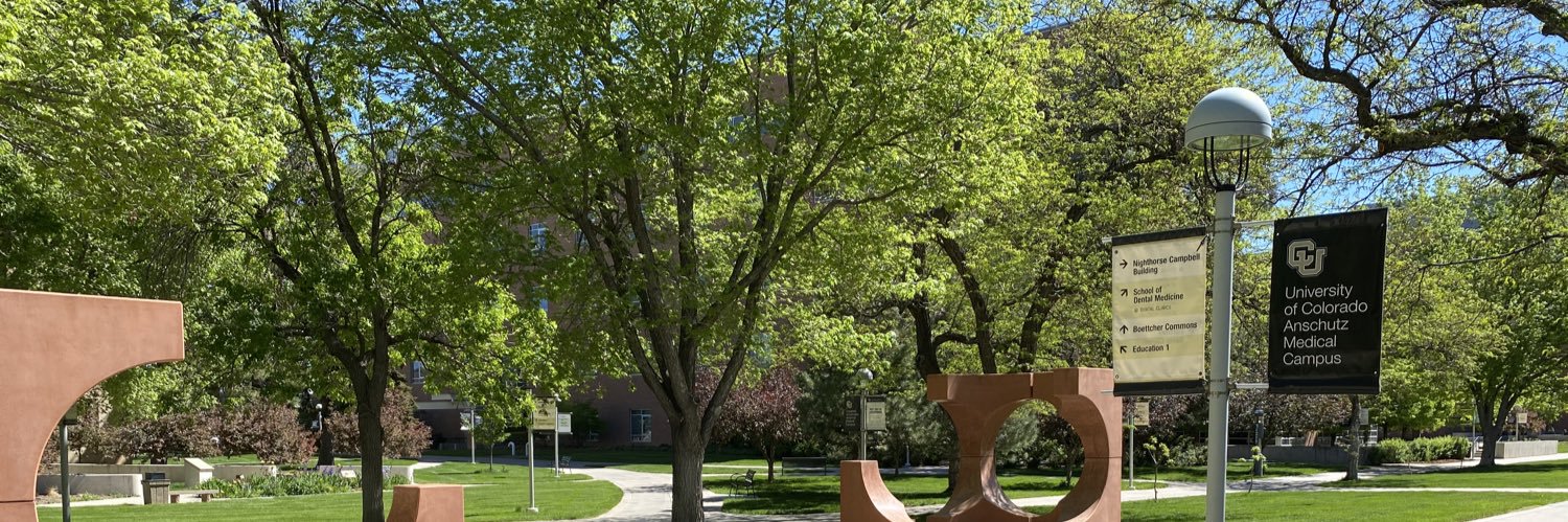 Joel Carmichael, DC, PhD banner