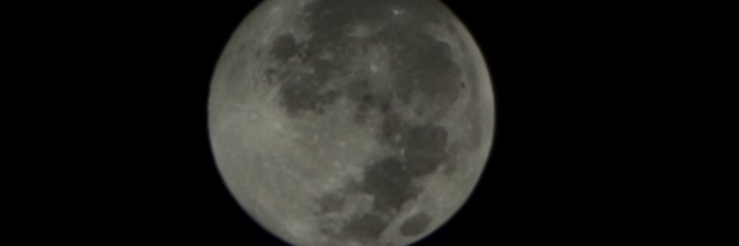 @MemeWarlordX🤘 banner