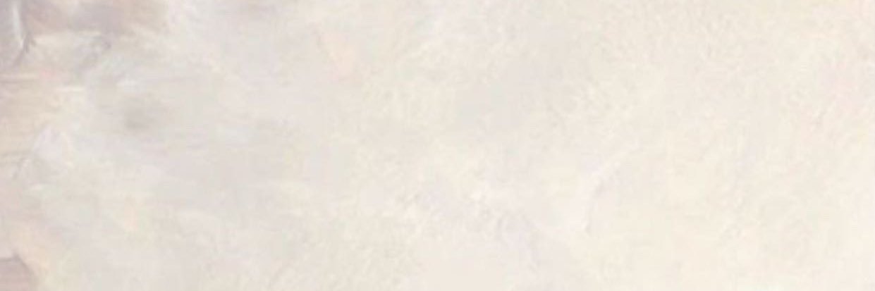 saraalzu's profile banner image