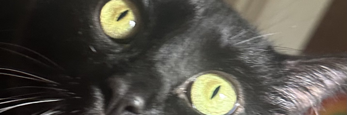 jsoconfusing's profile banner image
