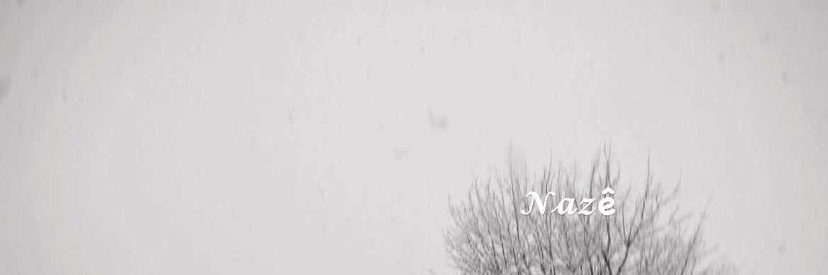 renasabursu's profile banner image