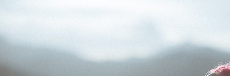 DearPacar's profile banner image