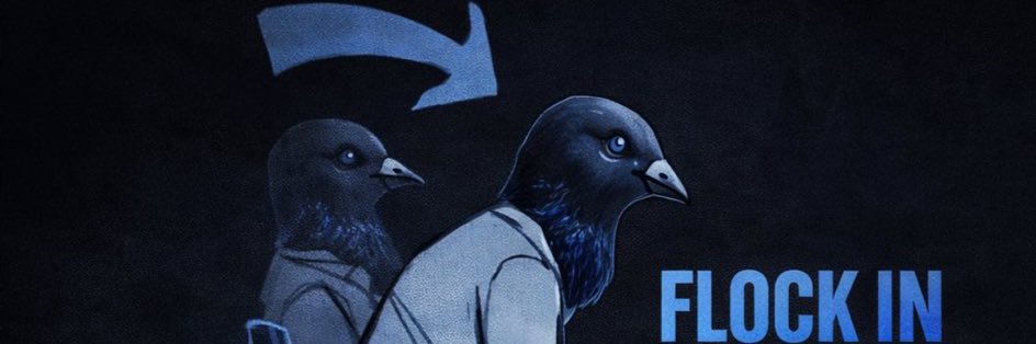 Swirvyy-PIGEON-arc banner
