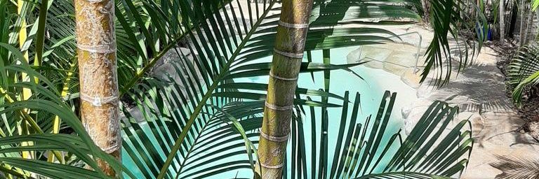 Mermaid Jan JG 🧜‍♀️🌴⛵🦋🐾🇦🇺 banner