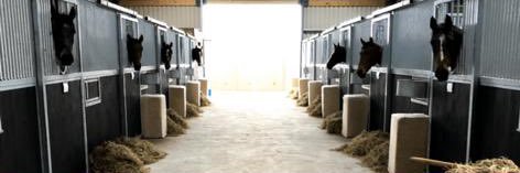 Conor Maxwell banner