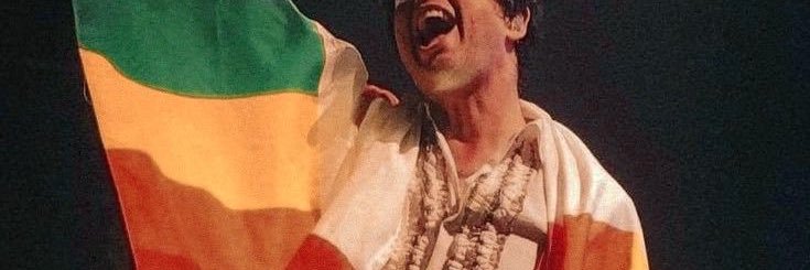 daily billie joe armstrong's banner