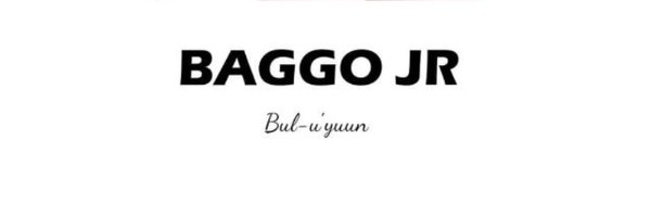 BaggoJunior04 Profile Banner