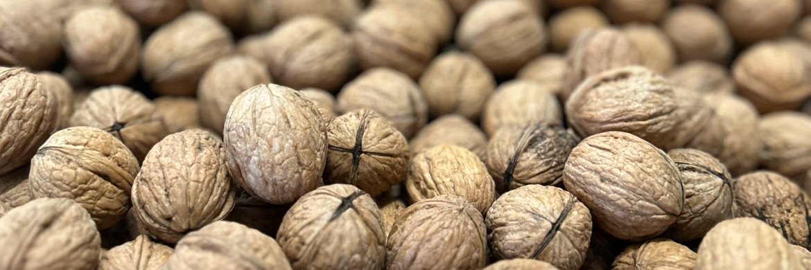 Sumer Exchange banner