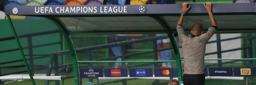 Mojtaba Seyedhosseini banner