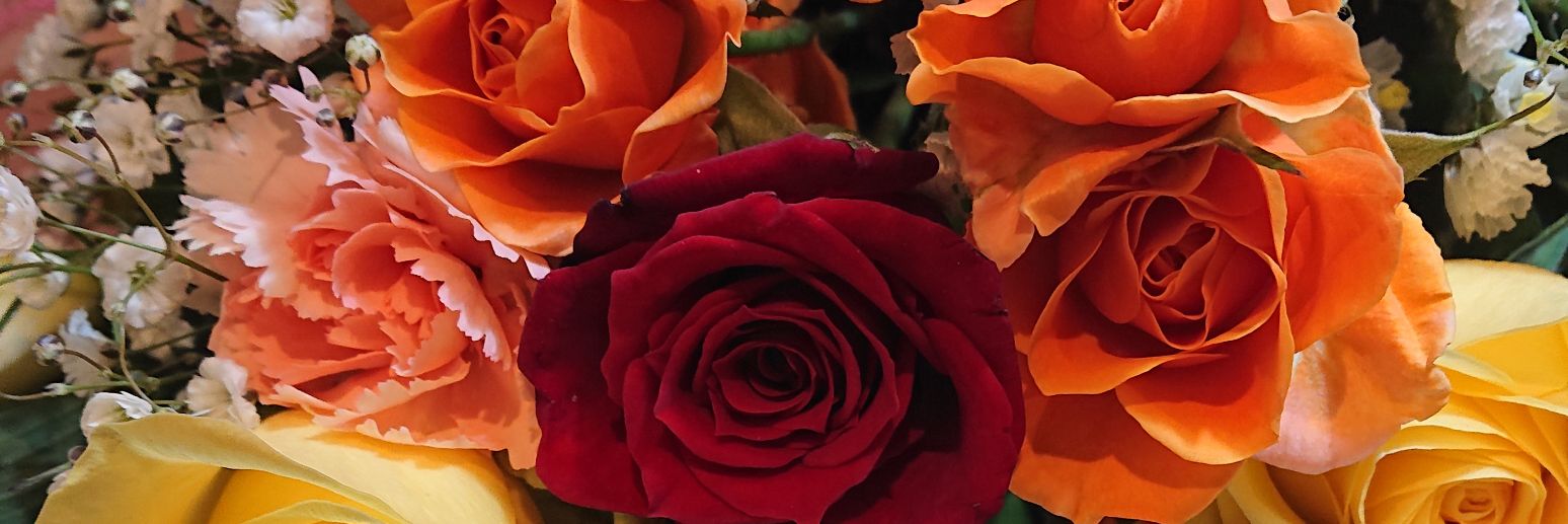 ApricotCandy888's profile banner image