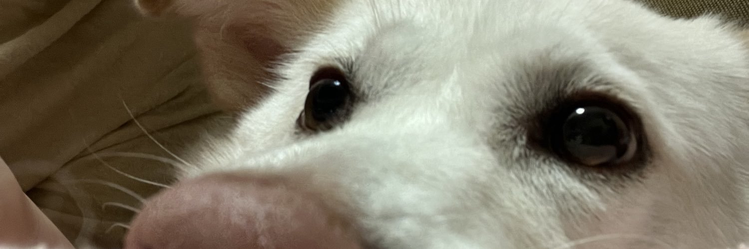 amanatu520's profile banner image