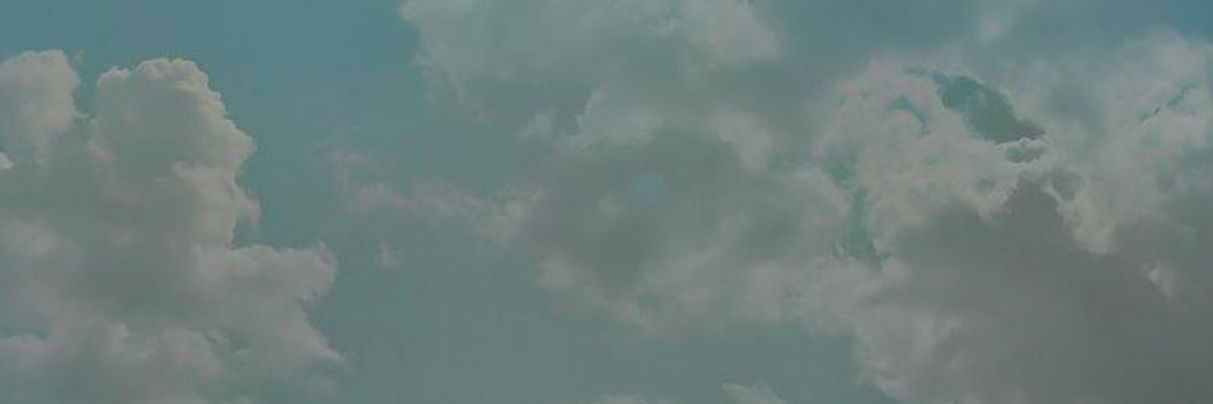 Yany banner